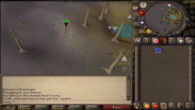 Fastest Way to Get a Looting Bag (Faster than Chaos Druids & Thugs) смотреть онлайн