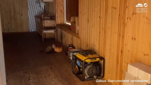 Соболь и булка хлеба смотреть онлайн
