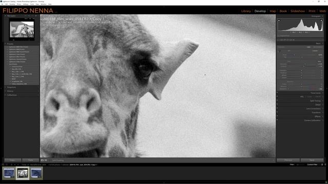 Invert and edit FILM SCANS (black and white and color) смотреть онлайн