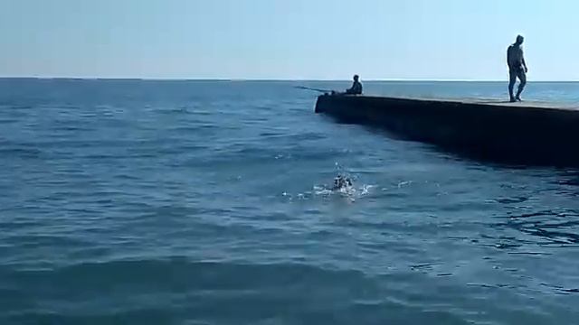Ну хоть в Абхазии я научилась плавать смотреть онлайн