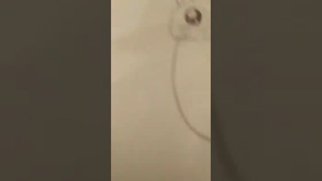 рисую хомяка ??? смотреть онлайн