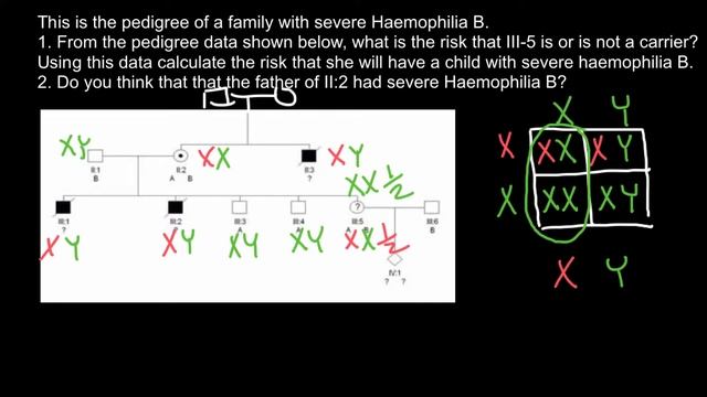 How to understand and solve Pedigree problems смотреть онлайн
