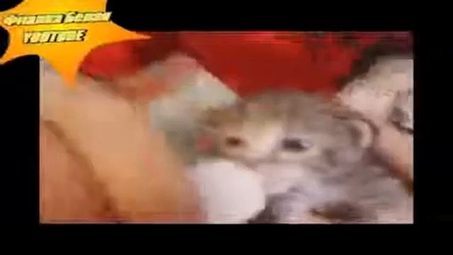 СМОТРИТЕ! Брошенный малыш 1 смотреть онлайн