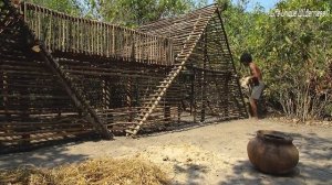 Строительство дома в джунглях с бассейном на крыше