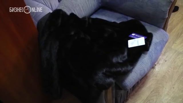 Как женщина вынесла в пакете из магазина три норковые шубы смотреть онлайн