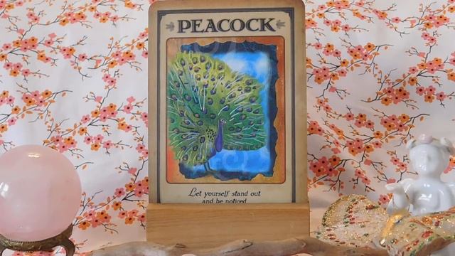 Daily Animal Spirit Oracle Card Reading смотреть онлайн