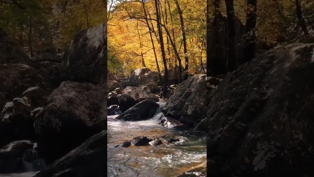Мантра Ганеше Ом Гам Ганапатайе Намаха.Грядущий Царь.Грядущий Правитель смотреть онлайн