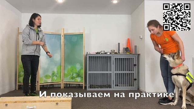 Онлайн-курс «НОУЗВОРК ДЛЯ ВСЕХ!» смотреть онлайн
