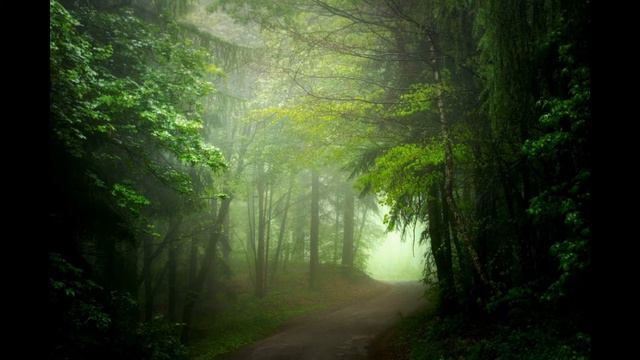 Мощный и Спокойный Потрясающе Красивый Трек! смотреть онлайн