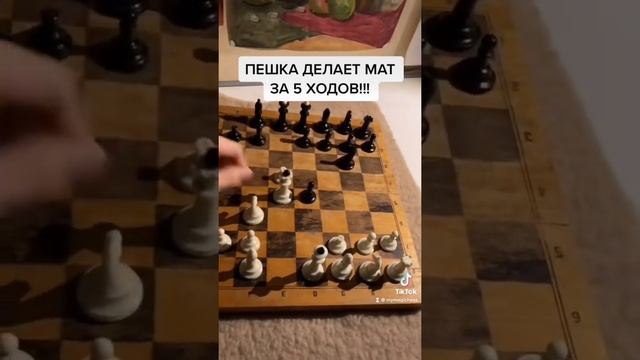 ПЕШКА ДЕЛАЕТ МАТ В 5 ХОДОВ! #шахматы #Шахматы #chess смотреть онлайн