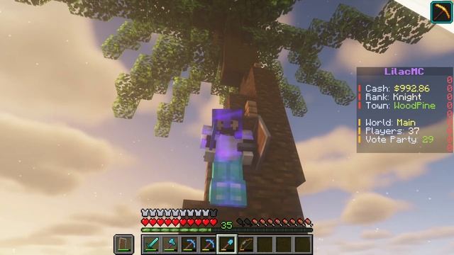 Lilac Minecraft | Towny Server | My Starter Town смотреть онлайн