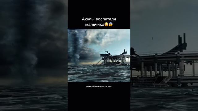 акулы воспитали мальчика😳😱 смотреть онлайн