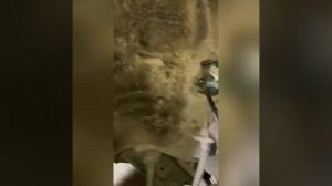 Замена переднего датчика АБС хендай солярис