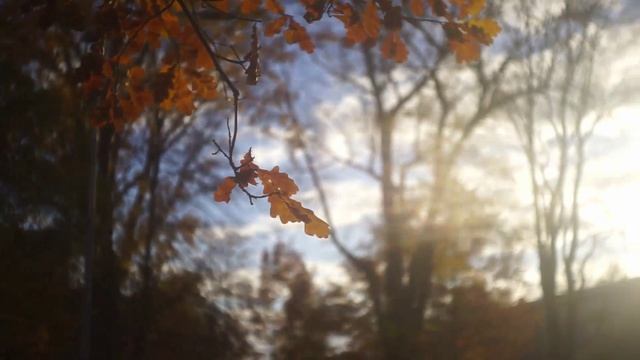 индустар-26м (2)