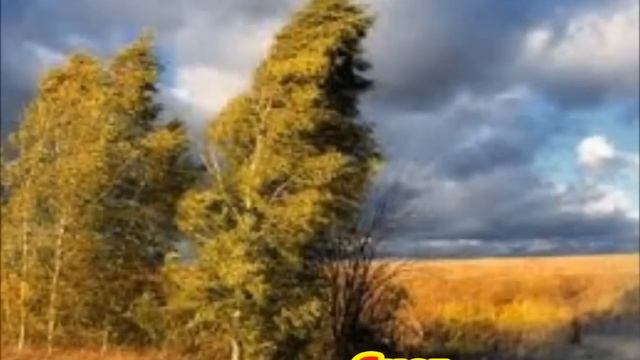 Физические явления природы. Презентация. 7 класс. смотреть онлайн