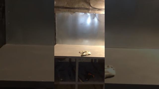 Стол металический с полочками смотреть онлайн