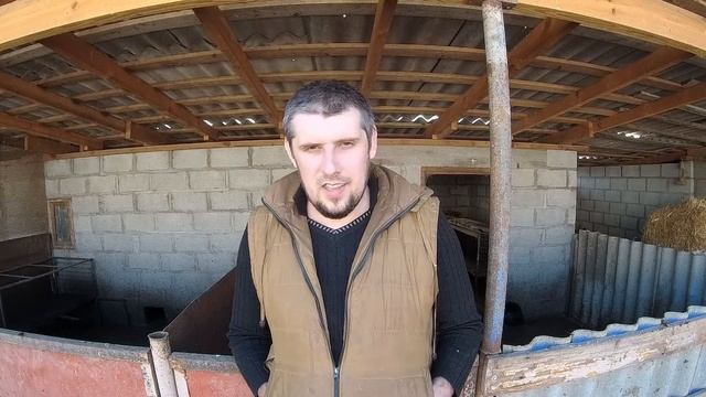 Содержание нутрий, вольер или клетка.Личное мнение. смотреть онлайн