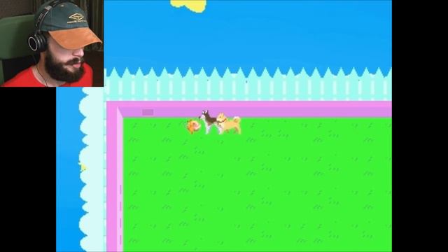 Pom Gets WiFi - летсплей /Крот Кирпич/