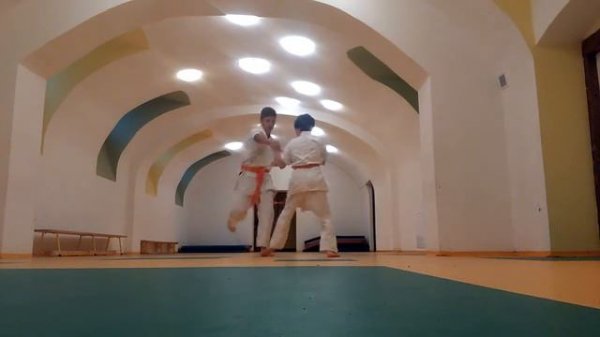 Albert Nbn la karate