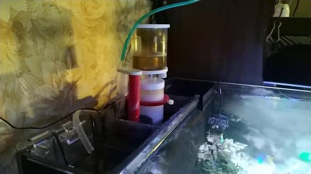 морской аквариум 100 л.- оборудование смотреть онлайн