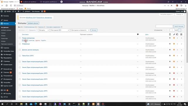 Авто постинг на сайт через BAS + Wordpress видео #2 смотреть онлайн