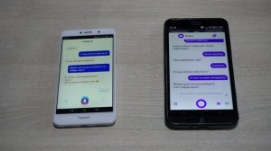 «Алиса» и «Маруся»: знакомство, непонимание, признание