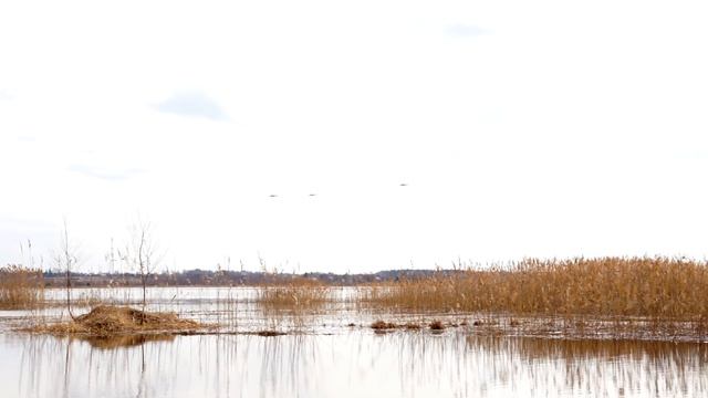Ловля карася в озерной протоке смотреть онлайн