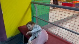 VLOG Что происходит