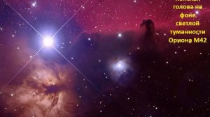 Наша Галактика - Галактика Млечный Путь.