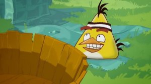 Злые птички мультик - Энгри Бердс - Время Чака (S1E1) || Angry birds Toons
