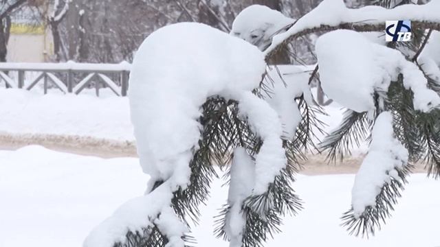 Сотрудники ЗАГСа подвели итоги уходящего года смотреть онлайн