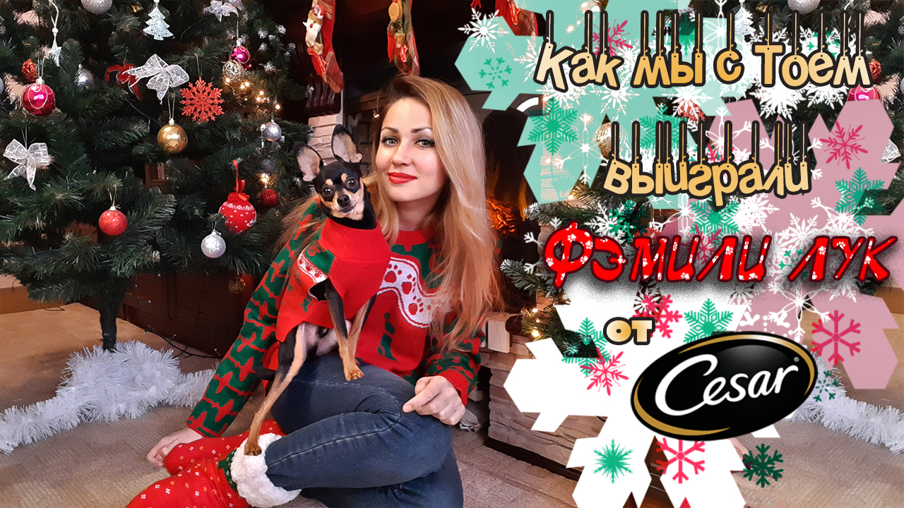 Той терьер получает подарки от Cesar! #связанывместе смотреть онлайн