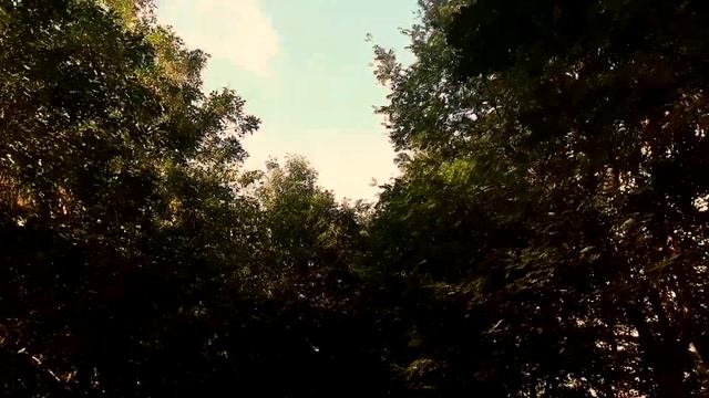 "А может быть я из другого века..."- Светлана Чеколаева/ читает Егорова Эльвина смотреть онлайн