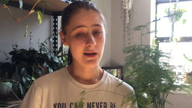 FOLIAGE FRIDAY | Ep. 9 — How I Care for Asparagus setaceus (Asparagus Fern) смотреть онлайн