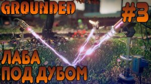 ПРОХОЖДЕНИЕ GROUNDED: Лаба под дубом #3