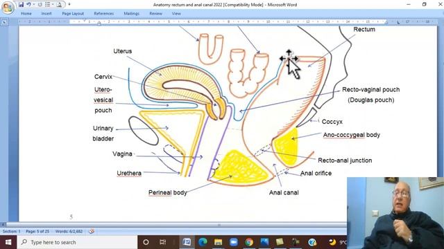 Anatomy GIT Module in Arabic 45 ( Rectum , part 1 ) , by Dr, Wahdan смотреть онлайн