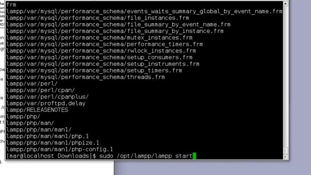 Xampp 1.8.1 en Linux - Arch Linux смотреть онлайн