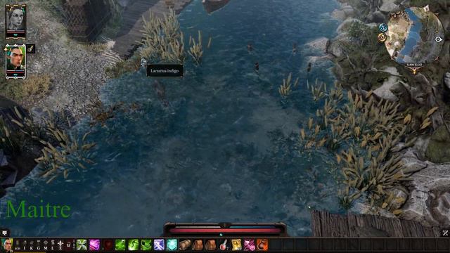 Ep 21 L'OEUF OU LA POULE - Divinity: Original Sin 2 Definitive Edition смотреть онлайн