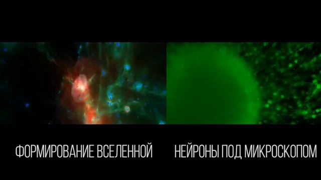 Параллель: структура Метагалактики и нейроны мозга смотреть онлайн