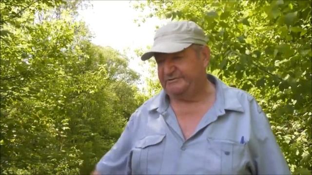 Как власти проверяют на прочность воронежских селян смотреть онлайн