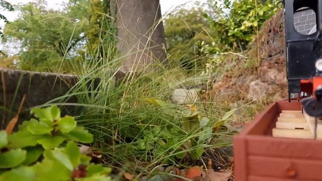 Museumsgartenbahn Werdau 20.08.2022: LGB Spreewald unterwegs mit schweren GmP (Kameramitfahrt) смотреть онлайн