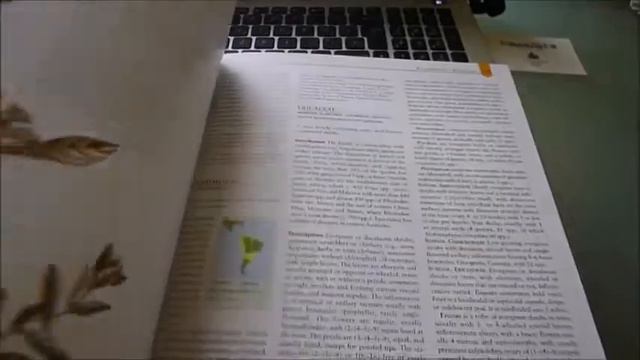 FLOWERING PLANT FAMILIES OF THE WORLD смотреть онлайн