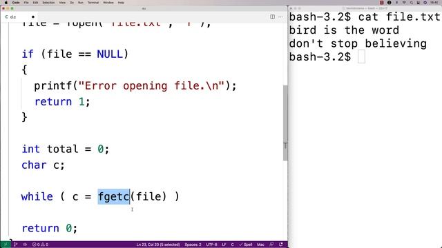 Count The Number Of Characters In A File | C Programming Example смотреть онлайн