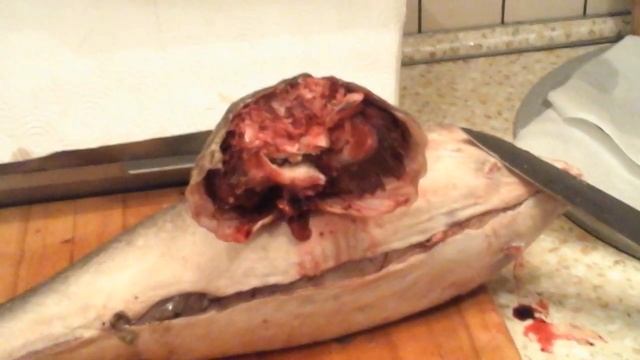 Налим. Что обнаружили при разделки Налима!!! смотреть онлайн