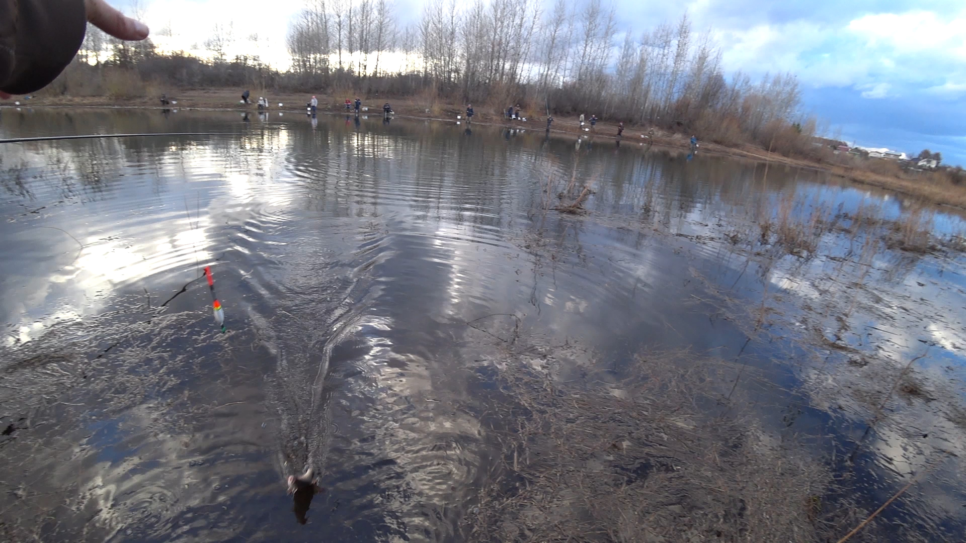 ПОПЛАВОК! КОРИАНДР, ВАНИЛЬ ИЛИ КВАС? Ловля плотвы на макарошки смотреть онлайн