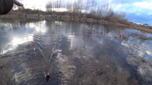 ПОПЛАВОК! КОРИАНДР, ВАНИЛЬ ИЛИ КВАС? Ловля плотвы на макарошки