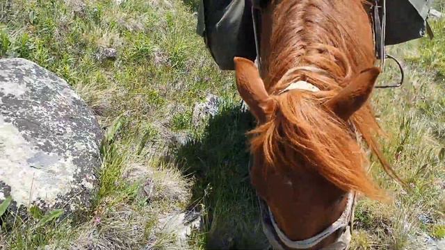 Алтай 2021 часть2 смотреть онлайн