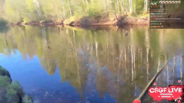 РЫБАЛКА С ФРИК СКВАДОМ / СТРОГО, ЛИКС, ШАДОУКЕК, ДЕСАУТ / STROGO SHADOWKEK