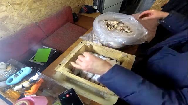 СОЛИТЬ РЫБУ ПРАВИЛЬНО