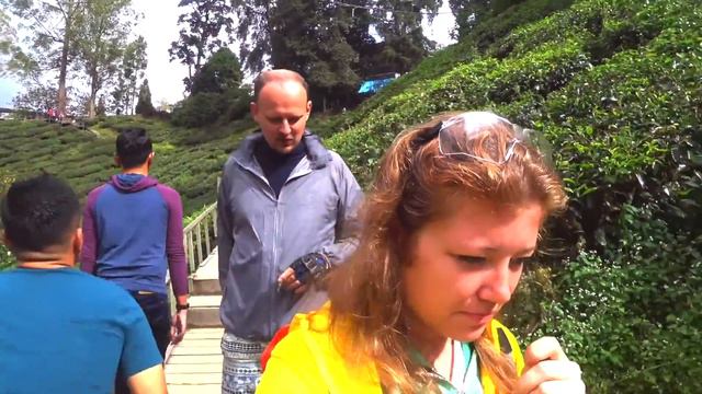 Чем пахнет чай // Нагорье Камерон